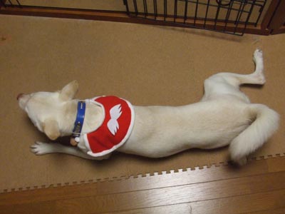トテ
