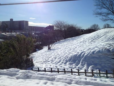 イベント