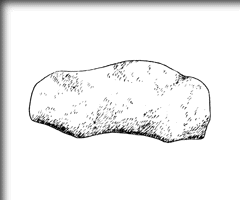 FT