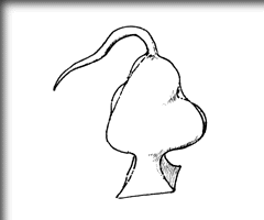 J[hl