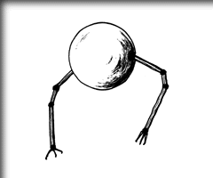N[