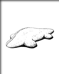ΐl