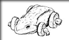 被吸血生物の例