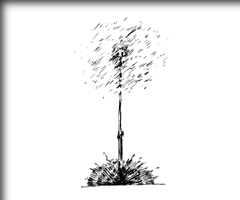΂̉