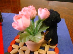 06